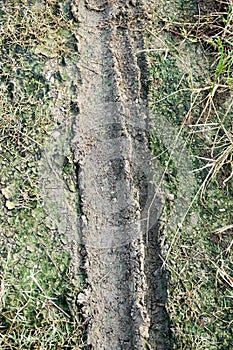 Bike wheel track on dry crack soil