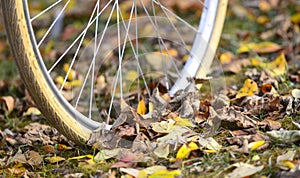 bike wheels, pneumatics on an autumn leaves, image of a photo