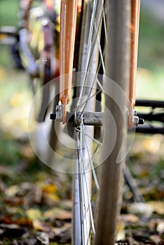 bike wheels, pneumatics on an autumn leaves, image of a photo