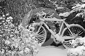 Bike in winter