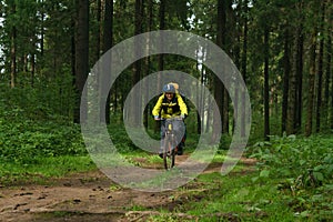 Bikepacker in the autumn forest