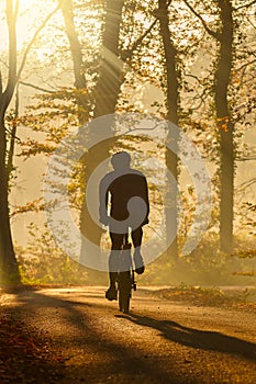 Biker in autumn on a sunny afternoon riding on the Dutch Veluwe