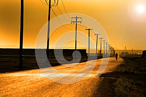 Biker Biking on Country Road with Power Lines and Poles