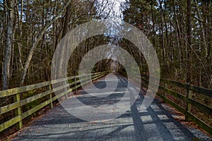 Biker Crosses Crushed Stone Path Bridge at Henlopen State Park`s Junction