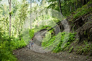 Biker pushes bicycle up in the green forest