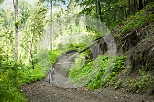 Biker pushes bicycle up in the green forest