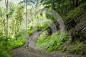 Biker pushes bicycle up in the green forest