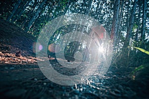 Biker riding his bike on a dirt trail through the woods, Xtreme cycling