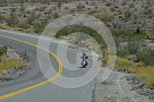 Biker on Route 66 Oatman Road