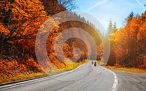 Bikers on mountainous highway, biker on the road in sunset light