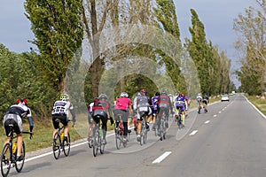 Police car escorting a group of bikers