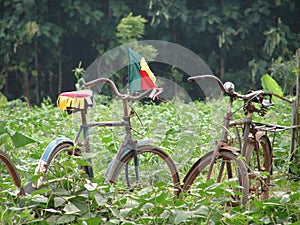 Bicicletas en 