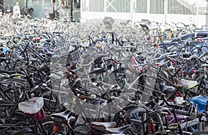 Bikes of Amsterdam