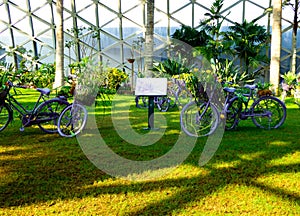 Bikes inside Tropical Exhibition Greenhouse