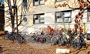 Bikes Parked Outside College Dormitory