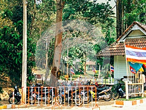 Bikes standing at the entrance to Park