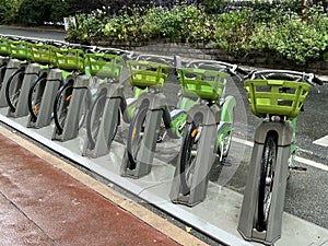 Bikes standing in row ready for rent, bicycle parking in city street close-up