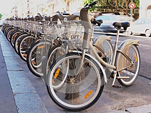 Bikes to rent