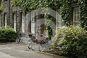 Bikes at Trinity College