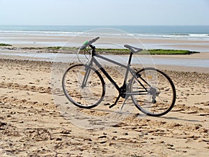 Biking on the beach photo