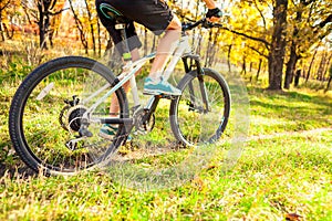 Biking in the forest.