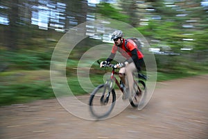 Biking in the forest