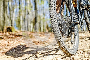 Biking through the forest