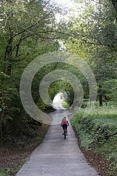 Biking in a path between fields and green trees