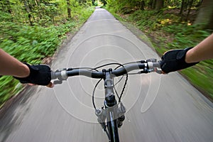 Biking on the road in forest