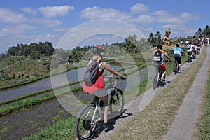 Biking tour to rice field in Jatiluwih rice terraces in Bali Indonesia