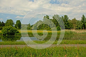 Biking trail alon a canal with meadow with wildflowers and green trees