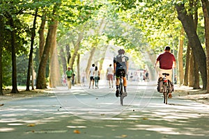 Biking in the Vondelpark in Amsterdam