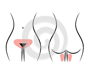 Bikini area. Removing unwanted body hair. Silhouette of a woman. Vector