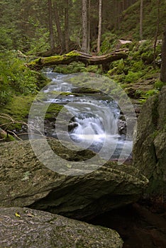 The Bila Opava River in Jeseniky mountains in Czechia at summer time.