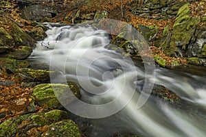 Bila Opava river in Jeseniky mountains in spring morning