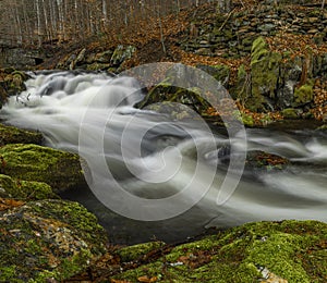 Bila Opava river in Jeseniky mountains in spring morning