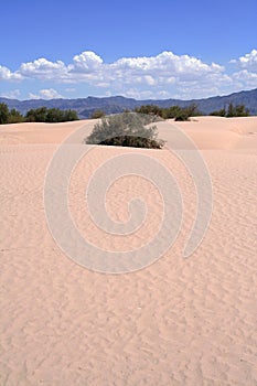 Bilbao dunes