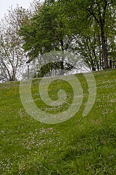 Bilbao landscape park Chimenea