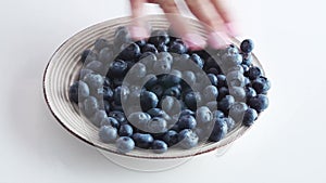 Bilberries or Blueberries, fresh fruits