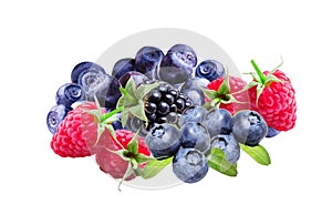 Bilberries, blueberries, raspberries and blackberries ,