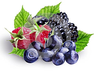 Bilberries, blueberries, raspberries and blackberries ,isolated