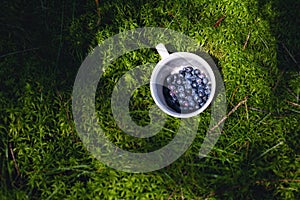 Bilberries In the Cup