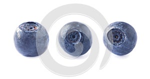 Bilberries isolated. Fresh raw berries isolated on white background. Collection. Blueberries on white