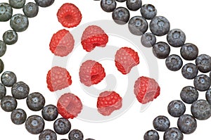 Bilberries and raspberries.