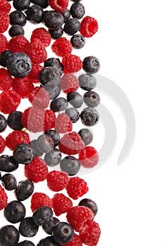 Bilberries and raspberries