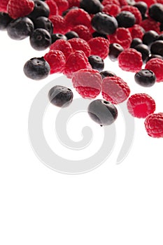 Bilberries and raspberries