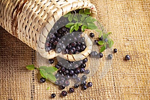 Bilberries scattered on wooden table