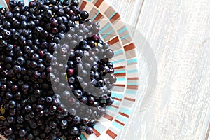 Bilberries in white plate on wooden grey desk.