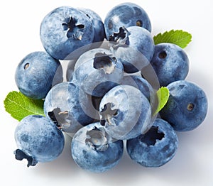 Bilberry