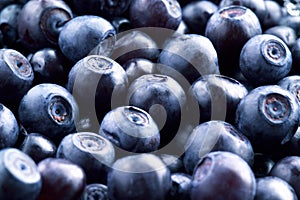 Bilberry